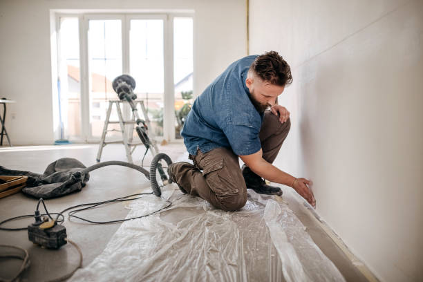 Best Drywall Crack Repair  in Beach, ND