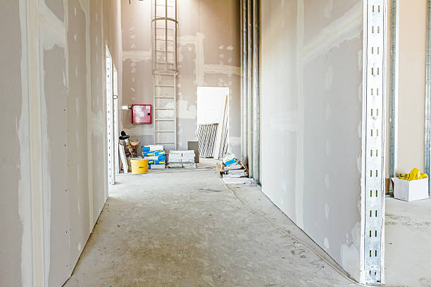 Best Fire-Damaged Drywall Repair  in Beach, ND